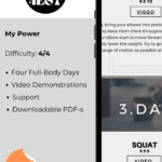 Flexible Online Fitness Weight Training Program